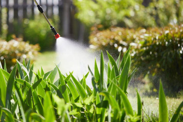 24/7 Emergency Mosquito Control experts in Del Rey, CA