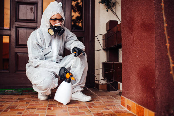 Reliable Mosquito Control contractor in Del Rey, CA by Show Me Pest Control