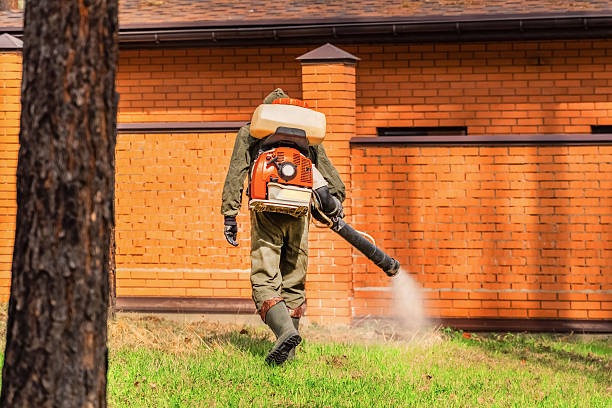 Top rated local Mosquito Control specialists in Del Rey, CA